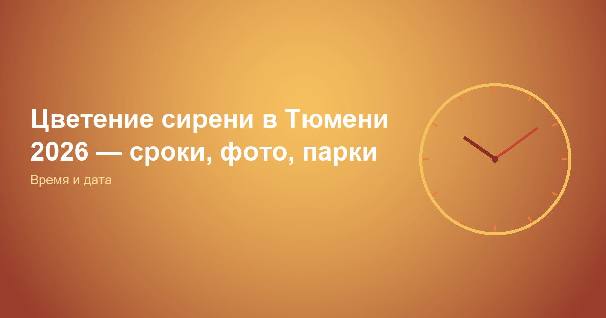 Цветение сирени в Тюмени 2026, сроки, фото, парки