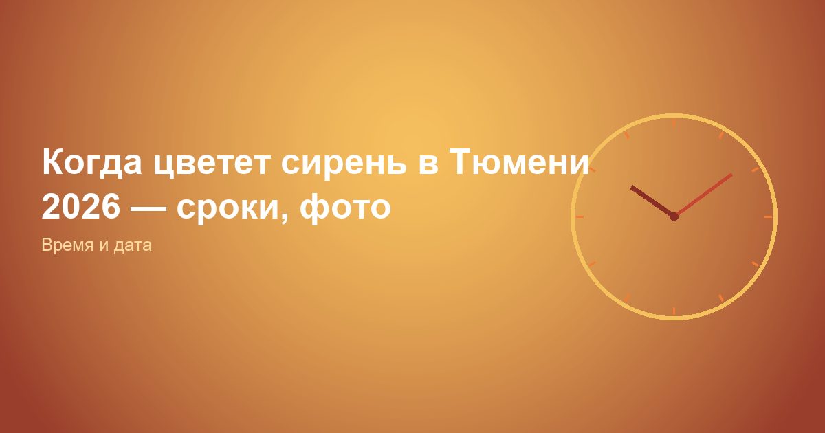 Когда цветет сирень в Тюмени 2026, сроки, фото